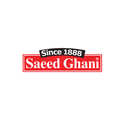 SAEED GHANI